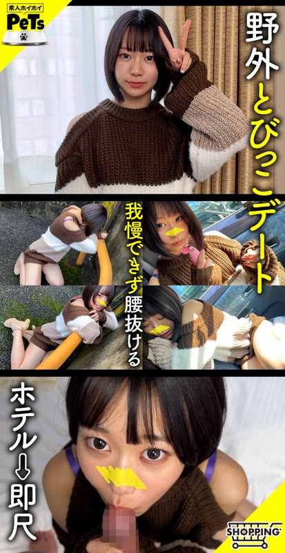 hpt040のサンプル画像1